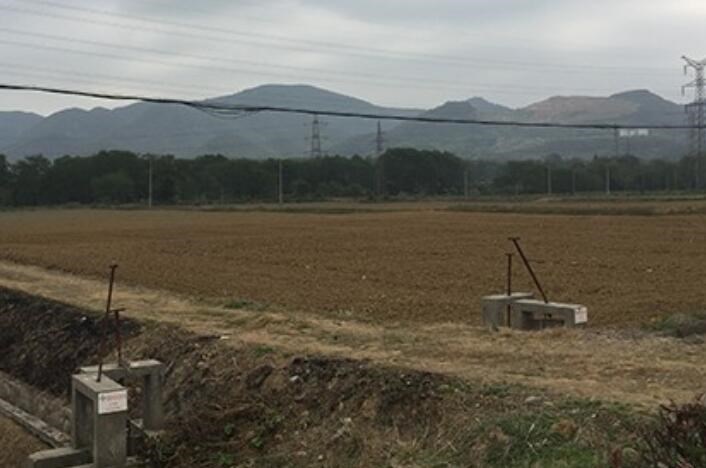 中藥材行業(yè)為什么會(huì)迎來(lái)種植熱潮？